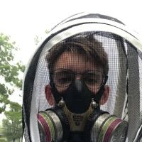 State Termite & Pest Solutions ico