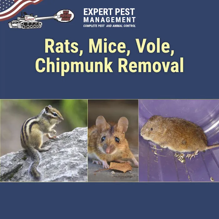 Expert Pest Management Inc. Picture 2