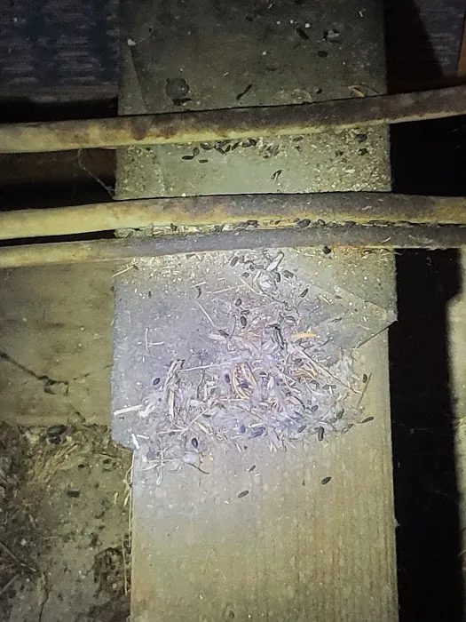McVeen & Sons' Pest & Termite Control Picture 8