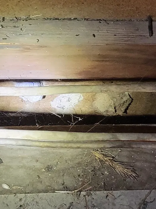 McVeen & Sons' Pest & Termite Control Picture 2