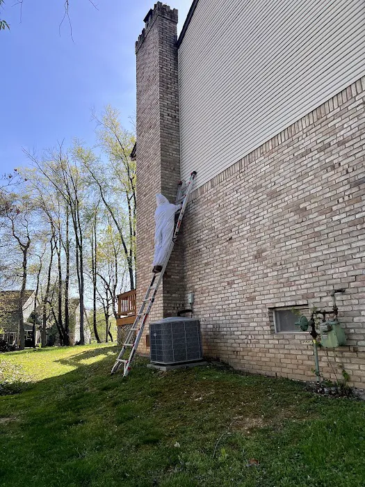 McVeen & Sons' Pest & Termite Control Picture 9