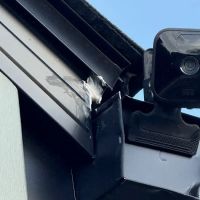 McVeen & Sons' Pest & Termite Control ico