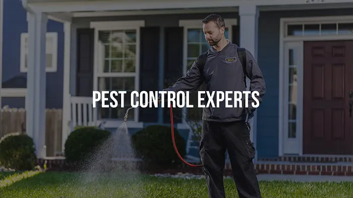 Accel Pest & Termite Control Picture 6