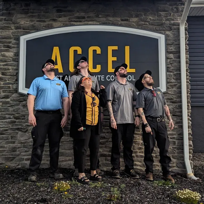 Accel Pest & Termite Control Picture 9