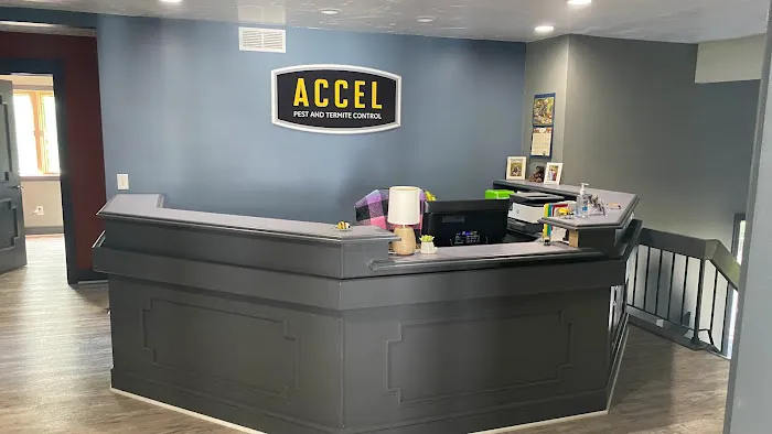 Accel Pest & Termite Control Picture 5
