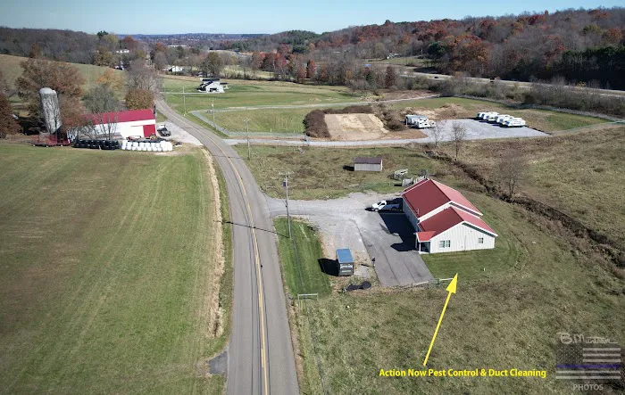 Action Now, Inc. Picture 1