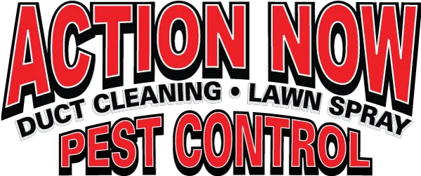 Action Now, Inc. Picture 3