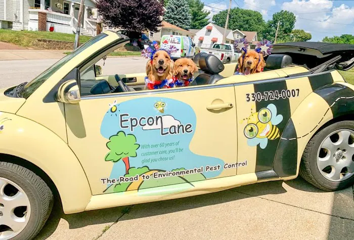 Epcon Lane Picture 1