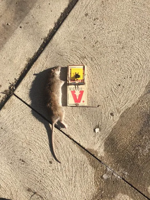 Animal Control Specialists, LLC Picture 9