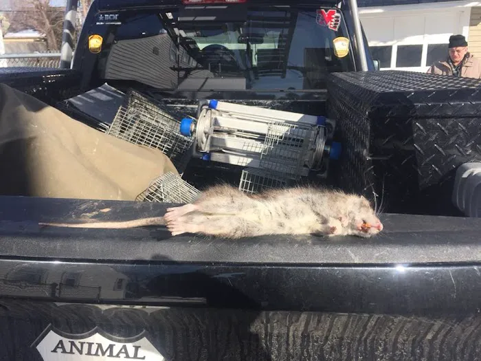 Animal Control Specialists, LLC Picture 3