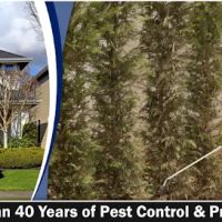 Minnick Termite & Pest Control Inc ico