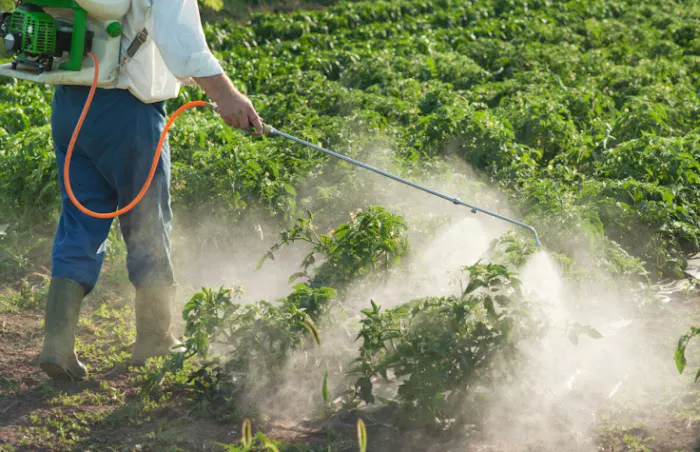 Minnick Termite & Pest Control Inc Picture 2