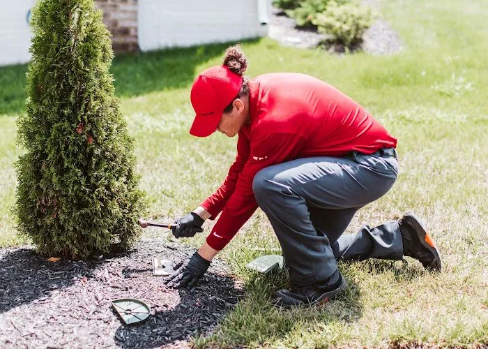 Frontline Pest and Termite of Crozet Picture 8