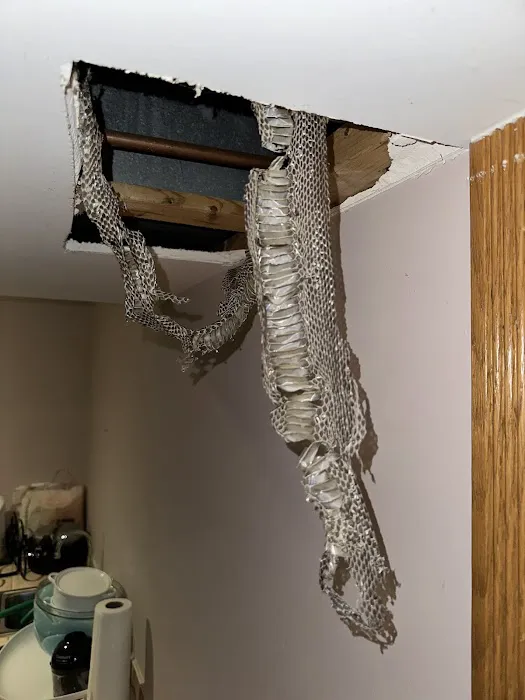 Charlottesville Animal Exterminator Picture 3