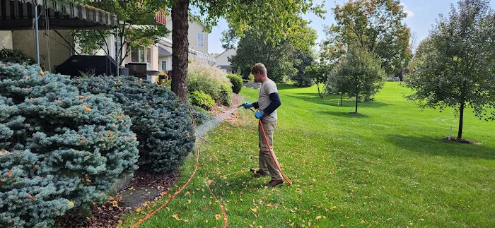 Martins Pest Control Picture 2