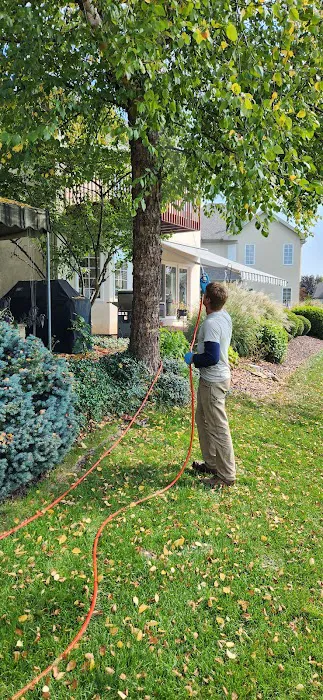 Martins Pest Control Picture 3
