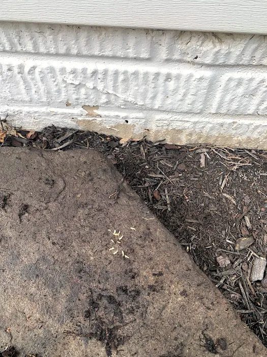 Virginia Pest Management Picture 3