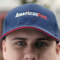 American Pest ico