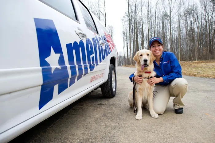 American Pest Picture 9