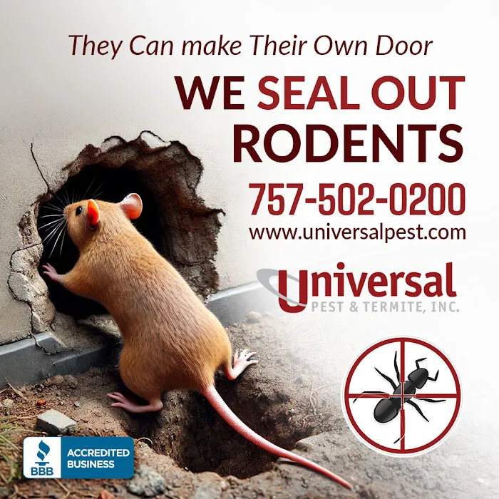 Universal Pest Picture 8