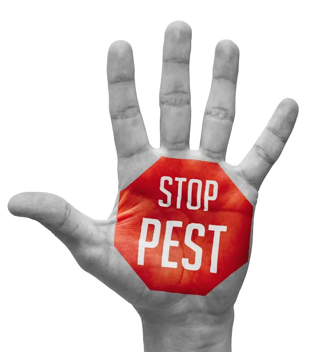 Universal Pest Picture 6