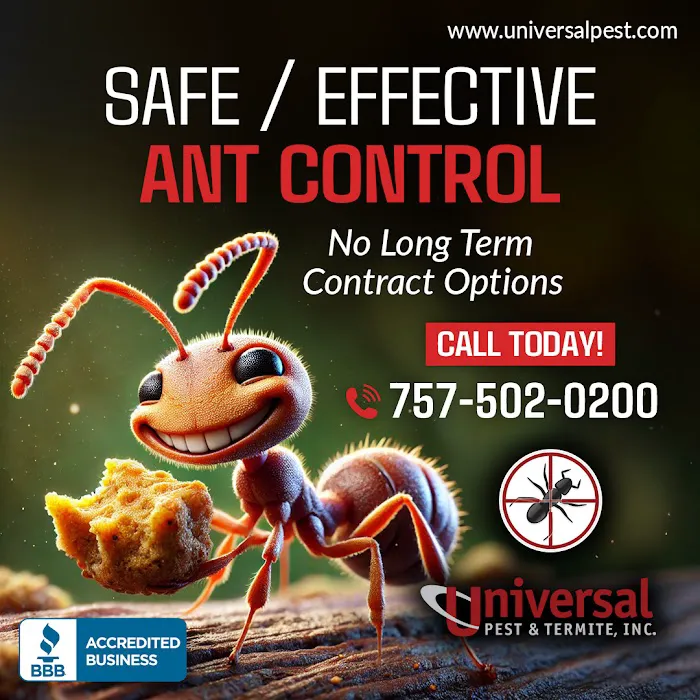 Universal Pest Picture 1