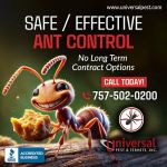 Universal Pest