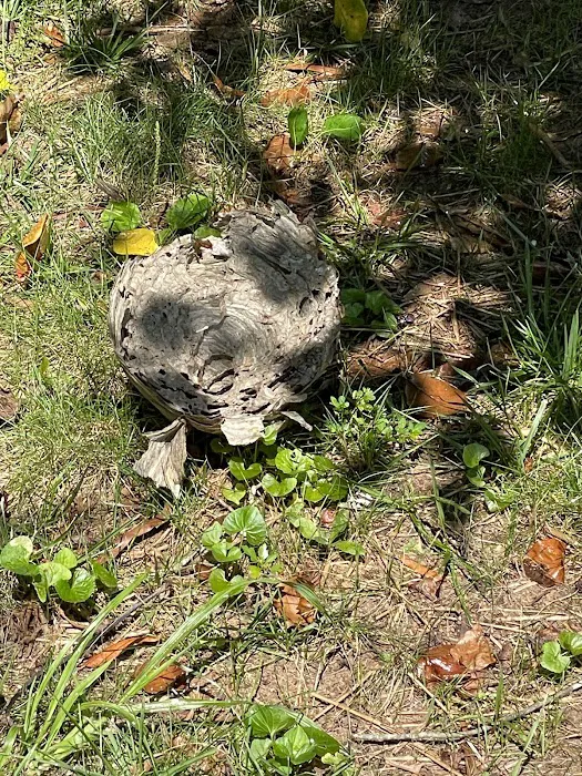 Sage Pest Control Picture 10