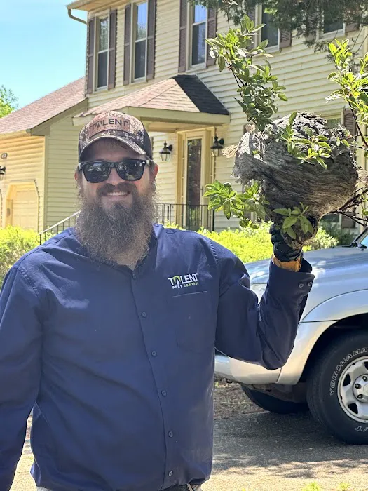 Talent Pest Control Picture 4