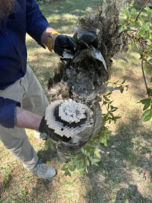 Talent Pest Control Picture 9