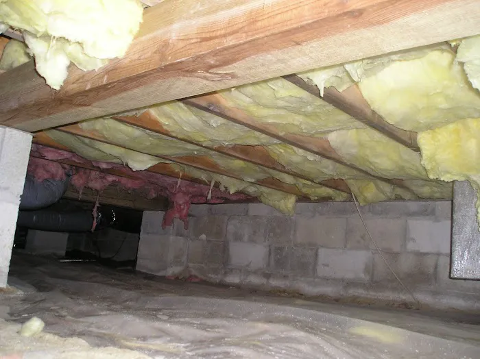 Reliance Pest & Termite Inc. Picture 1