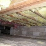 Reliance Pest & Termite Inc.