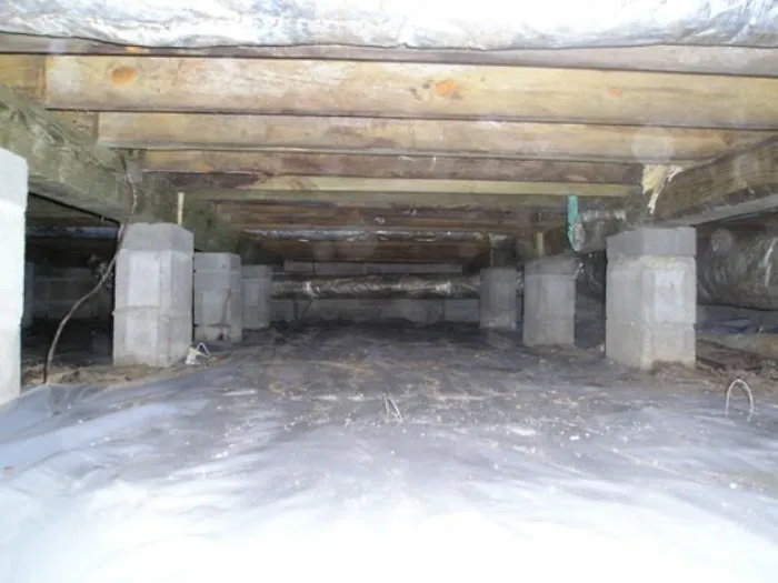 Reliance Pest & Termite Inc. Picture 4