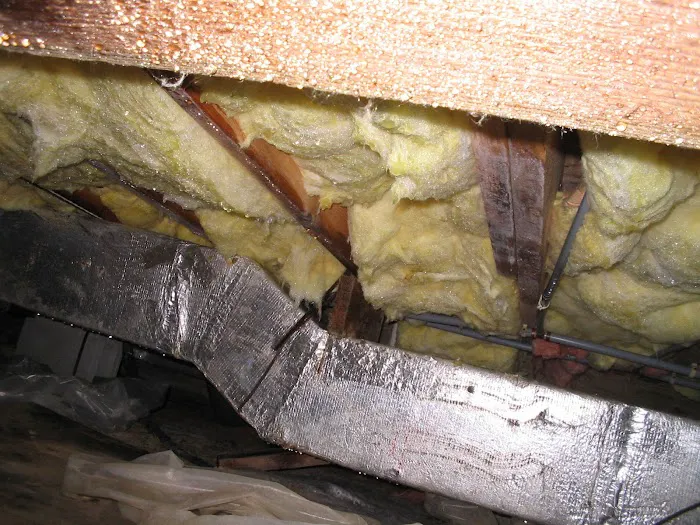 Reliance Pest & Termite Inc. Picture 3