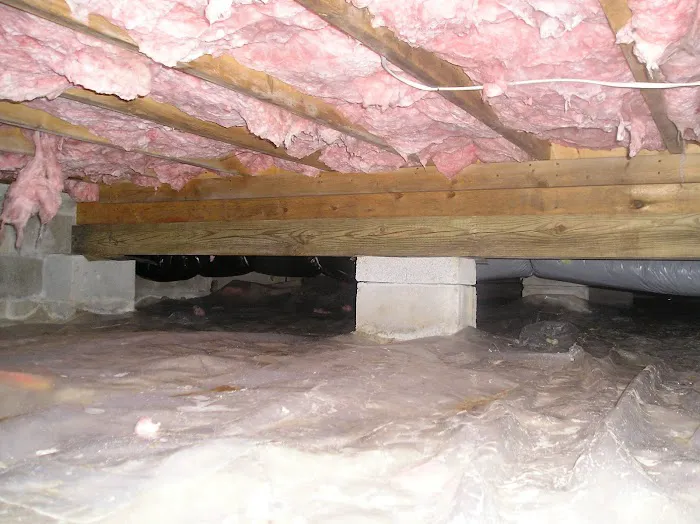 Reliance Pest & Termite Inc. Picture 10