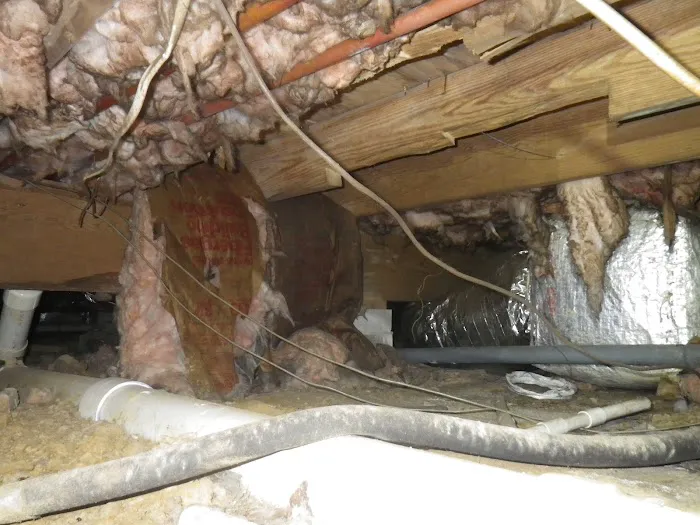 A-1 Inc. Exterminators & Tidewater Crawl Space Solutions Picture 5