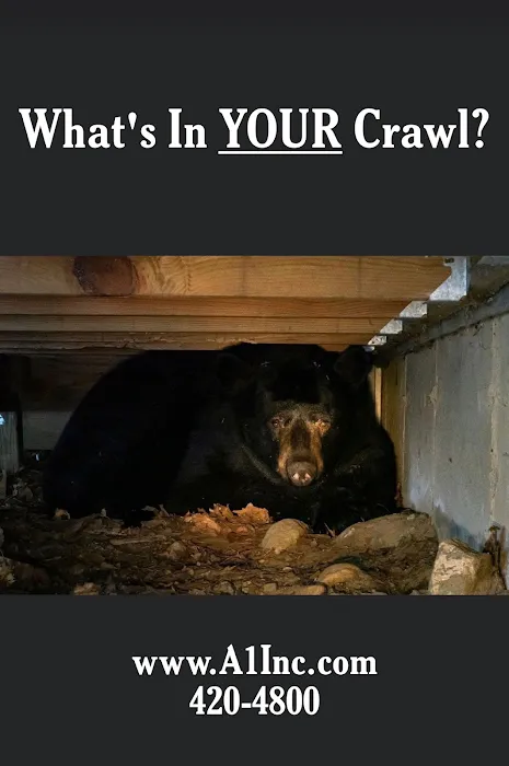 A-1 Inc. Exterminators & Tidewater Crawl Space Solutions Picture 7