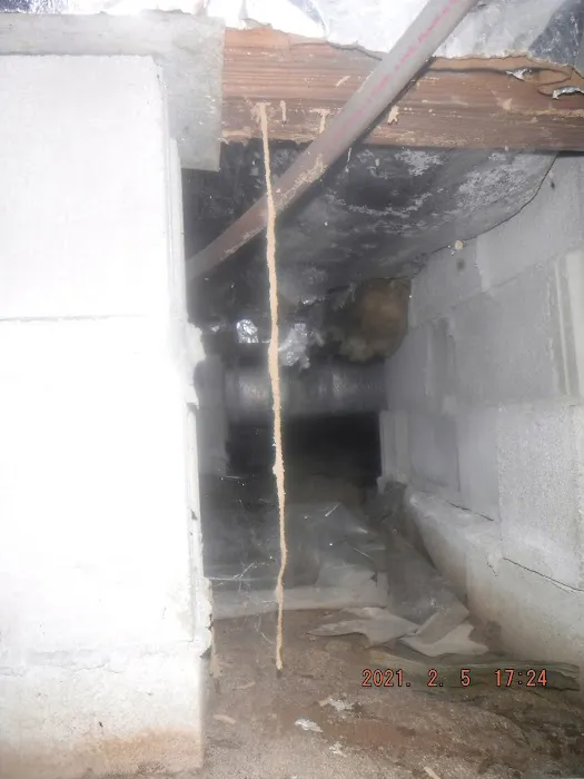 A-1 Inc. Exterminators & Tidewater Crawl Space Solutions Picture 2