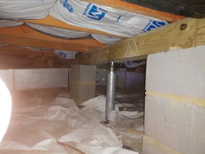 A-1 Inc. Exterminators & Tidewater Crawl Space Solutions Picture 1