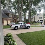 Fox Pest Control Chesapeake