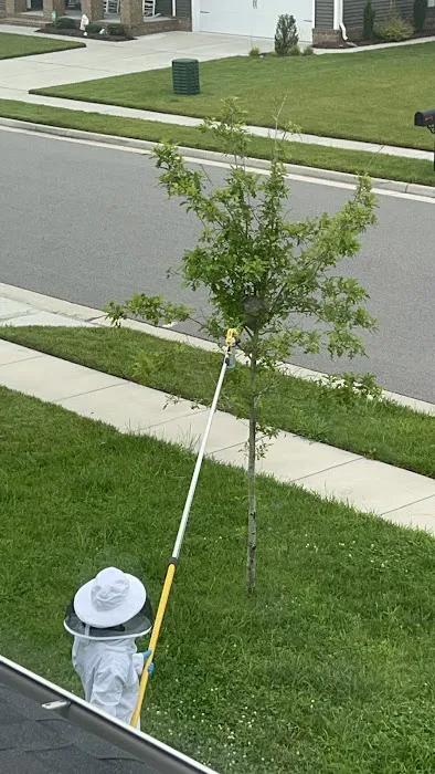 Fox Pest Control Chesapeake Picture 9