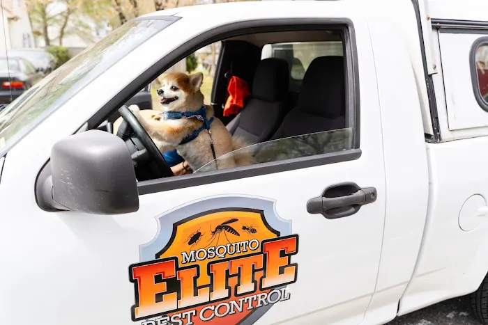 Mosquito Elite Pest Control Picture 1