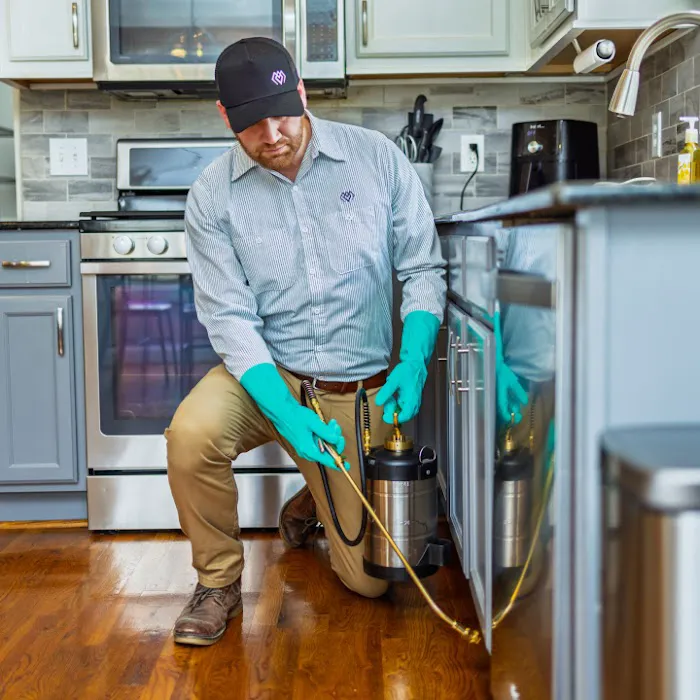 Evergreen Pest Solutions Picture 5
