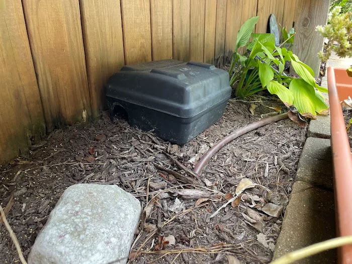 Bust-A-Bug Pest & Crawlspace Solutions Picture 6