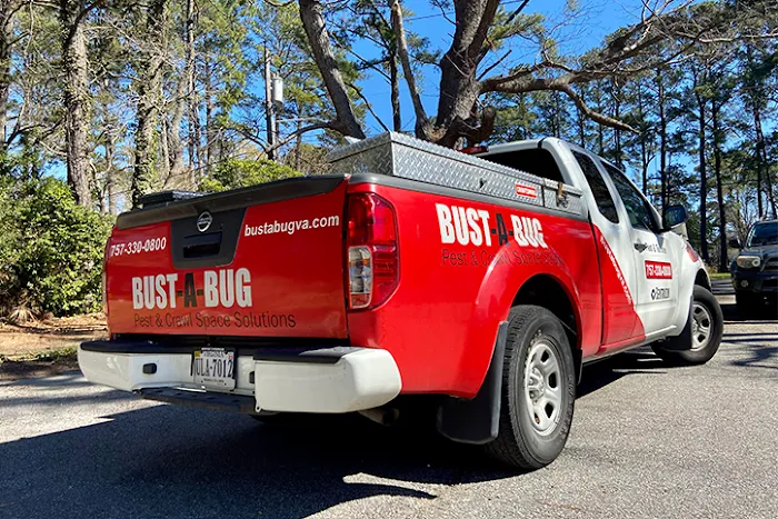 Bust-A-Bug Pest & Crawlspace Solutions Picture 3
