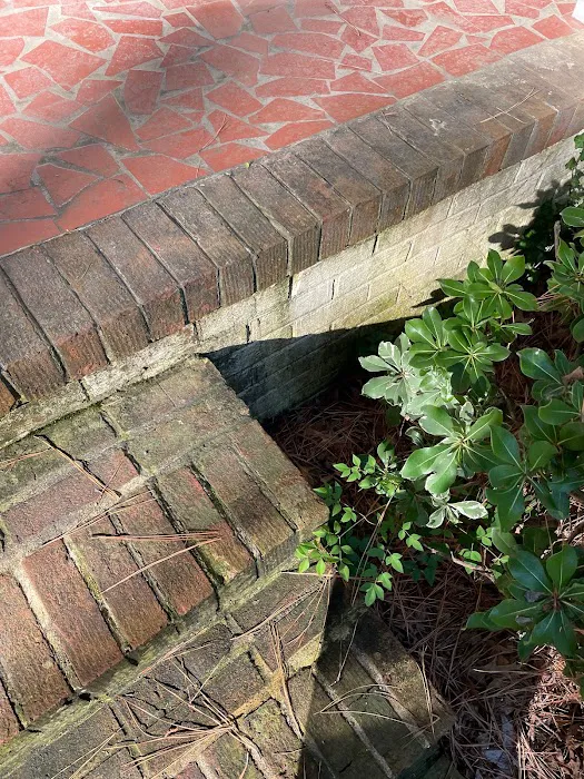 Bust-A-Bug Pest & Crawlspace Solutions Picture 7