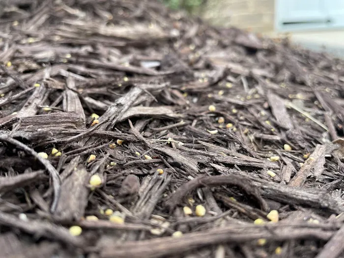 Bust-A-Bug Pest & Crawlspace Solutions Picture 2