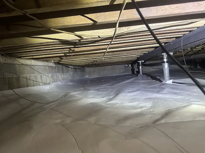 Johnson Pest Solutions Picture 2
