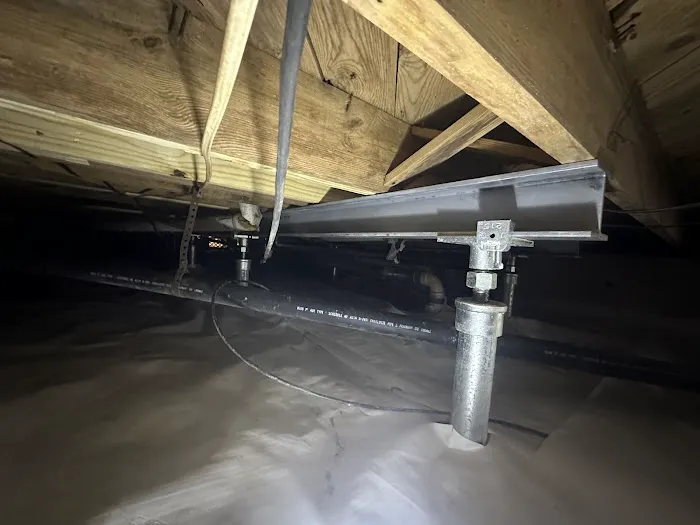 Johnson Pest Solutions Picture 1