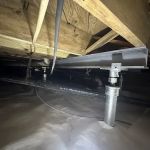 Johnson Pest Solutions
